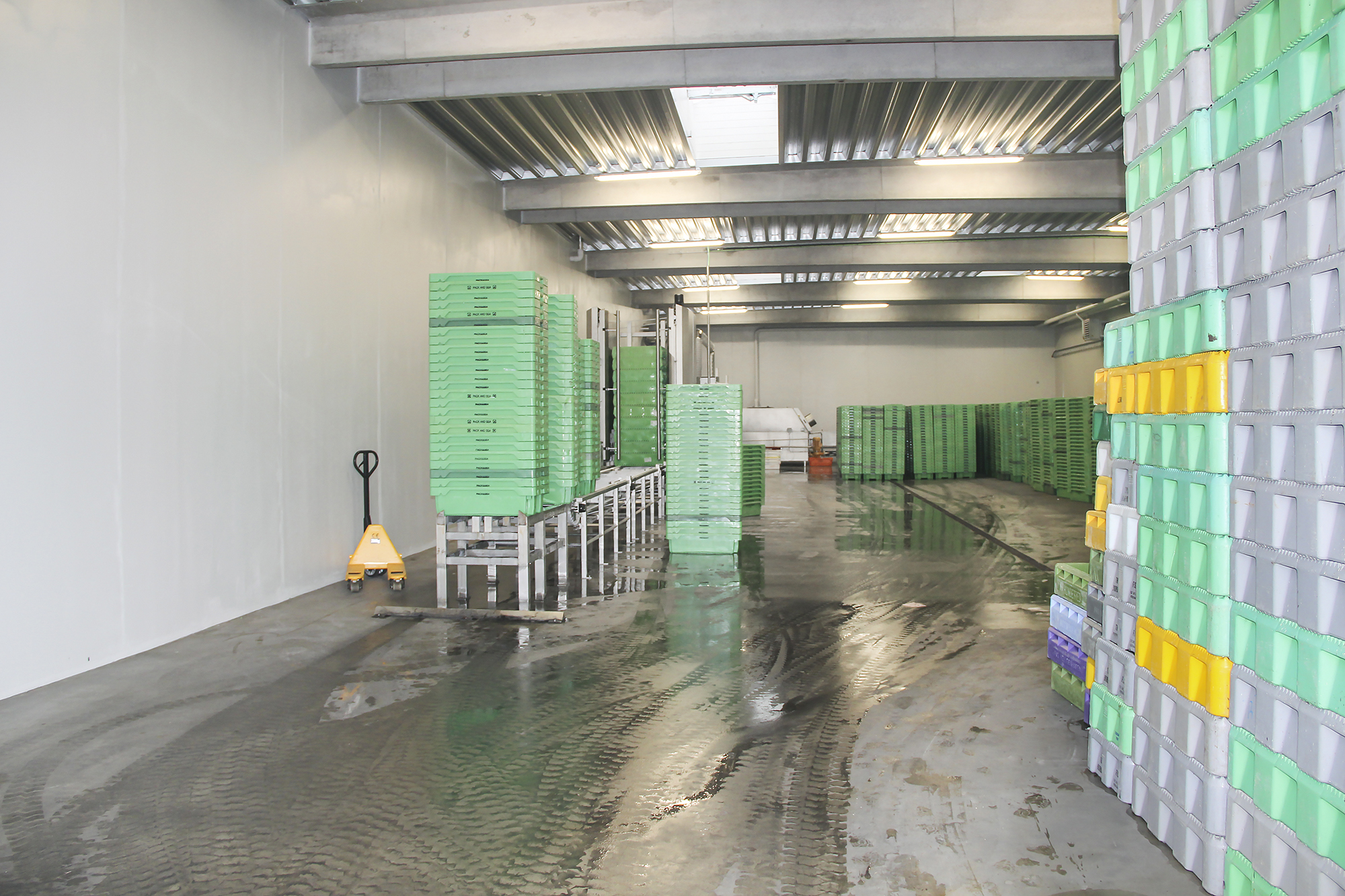 Kassevaskehal 1766 Web