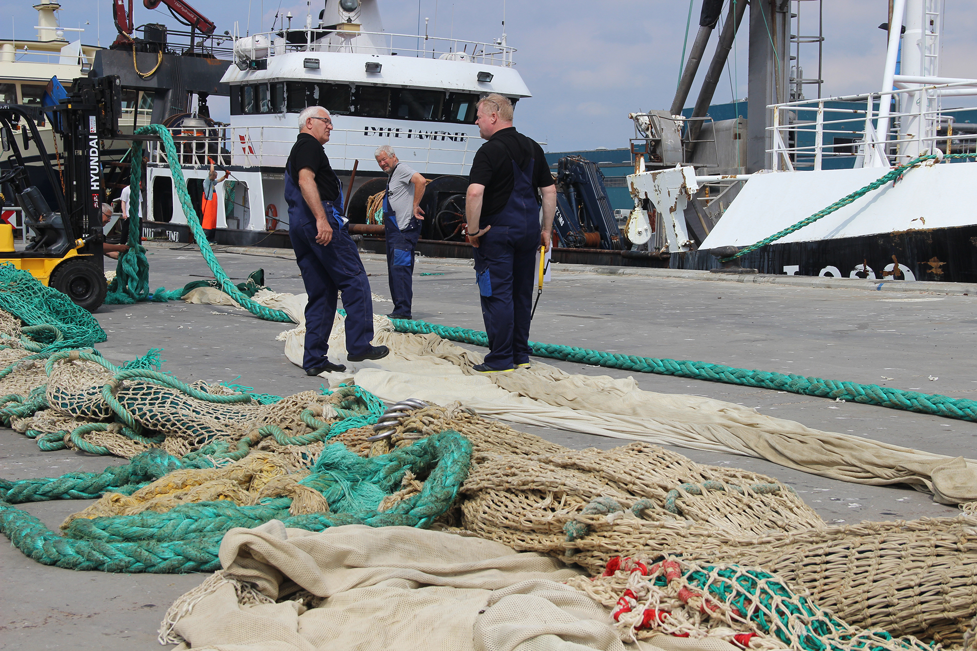 Egersund 3581 Web