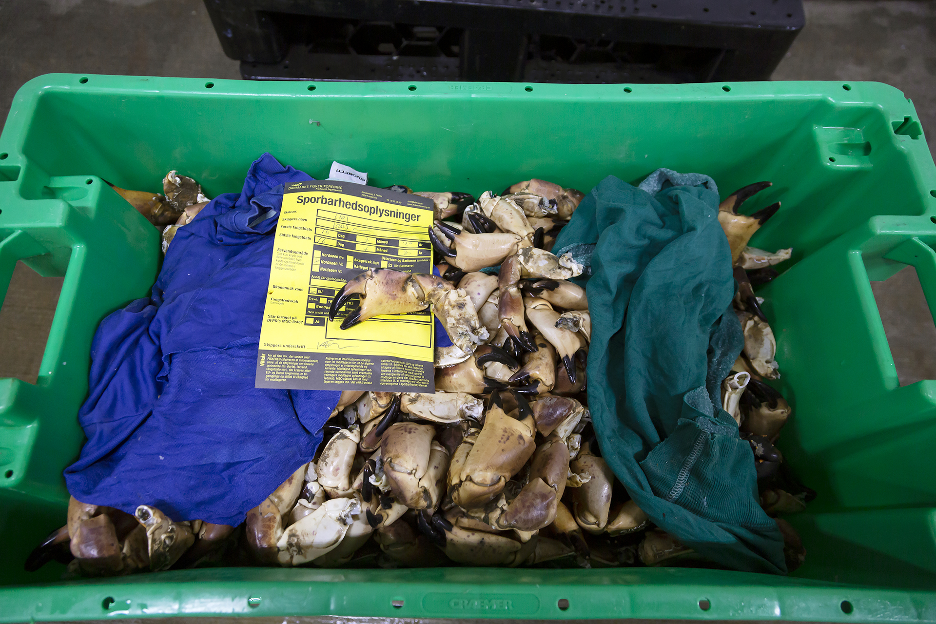 Fiskeauktion 15A4013 Web