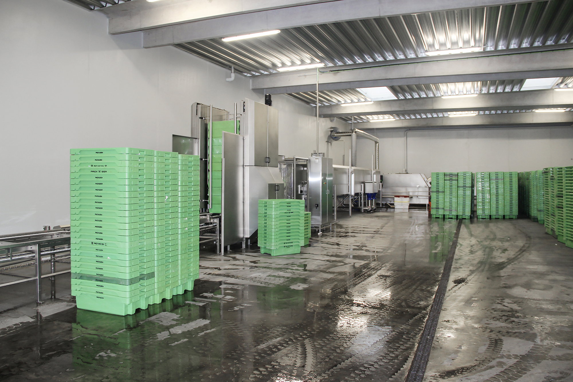 Kassevaskehal 1772 Web