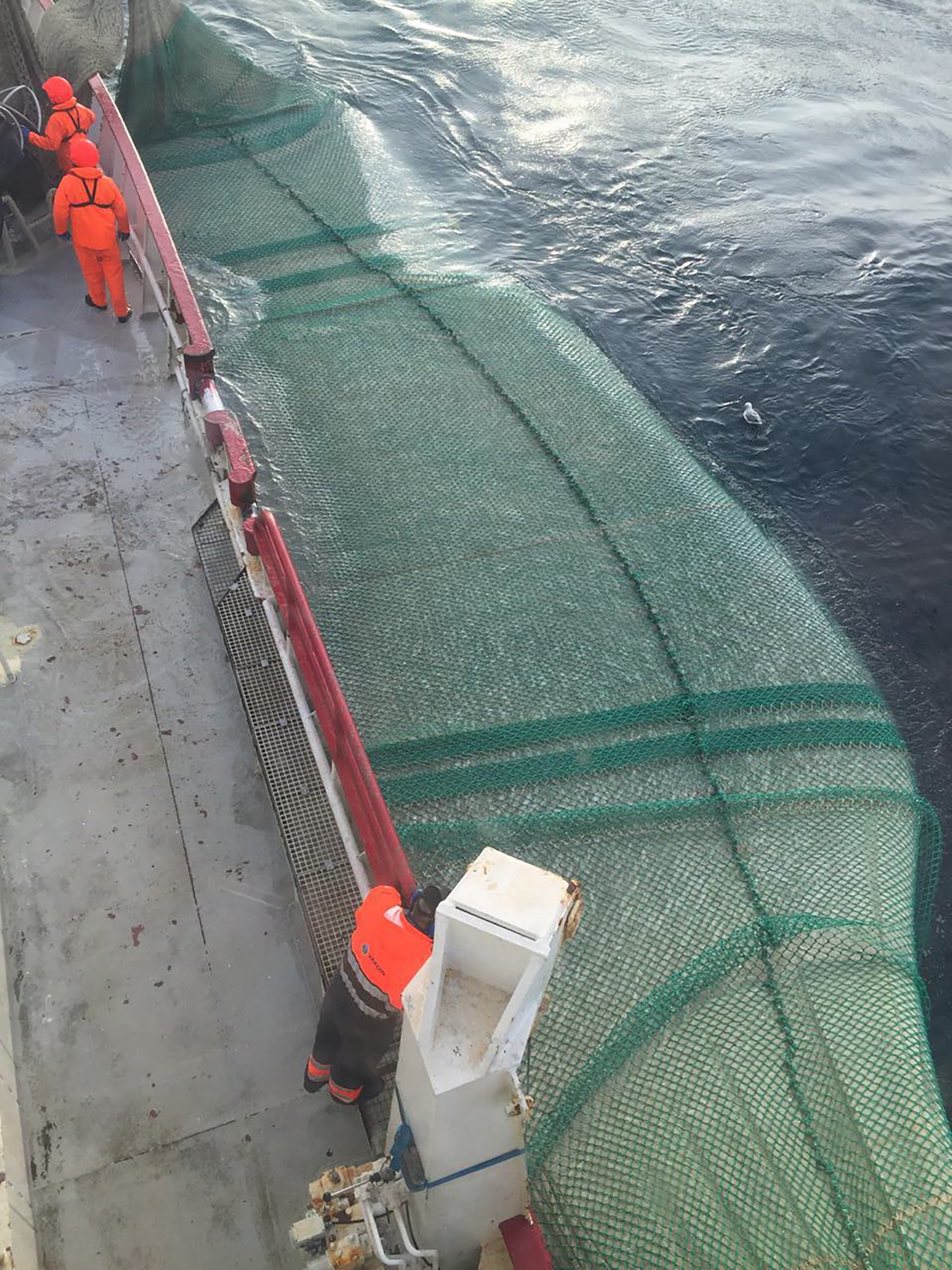 Nordsoetrawl IMG 1746 Web