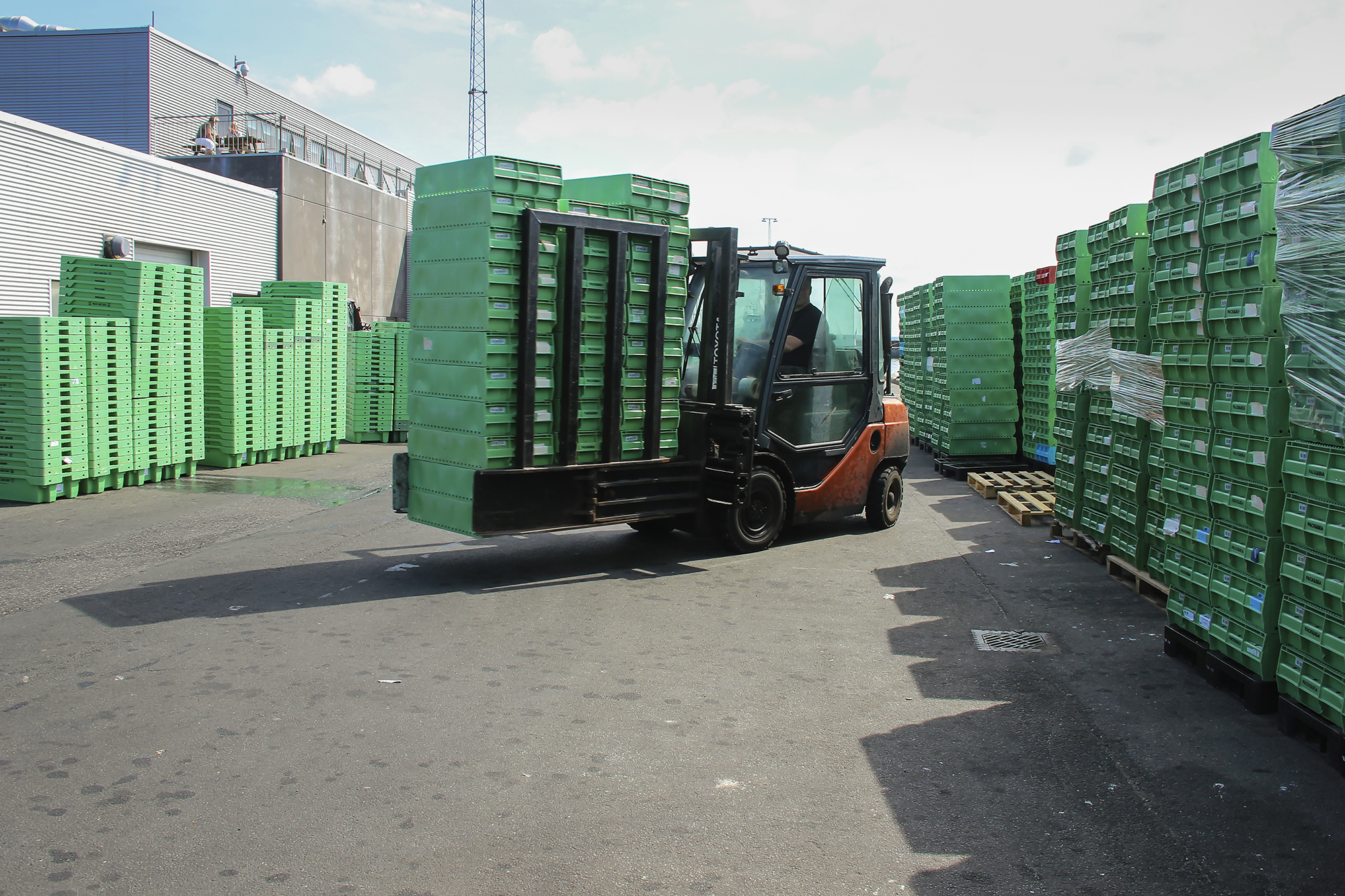 Kassevaskehal 6353 Web