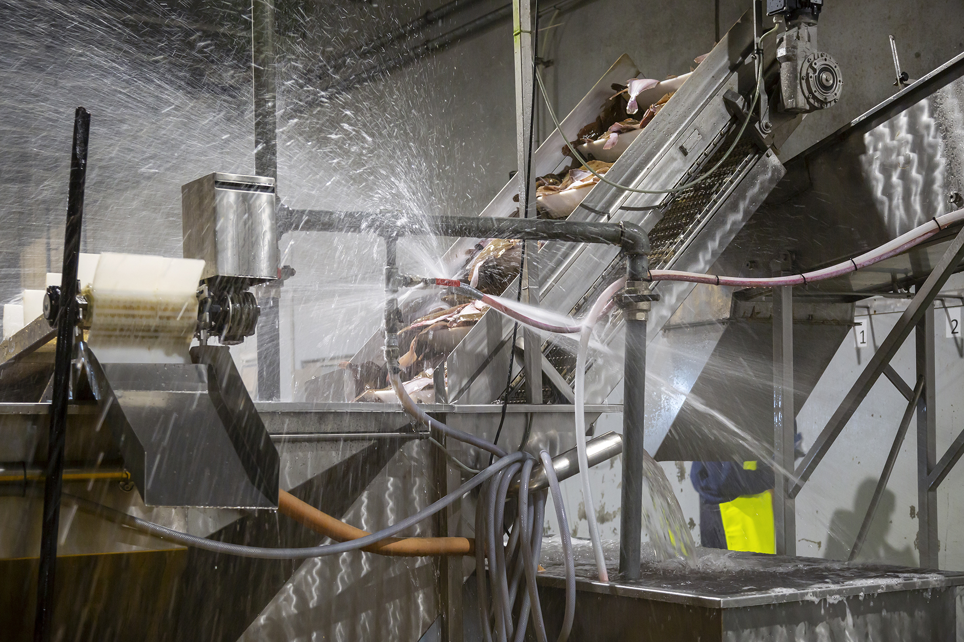 Fiskeauktion 15A4041 Web